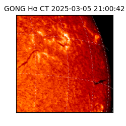 gong - 2025-03-05T21:00:42