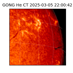 gong - 2025-03-05T22:00:42