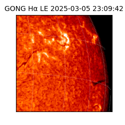 gong - 2025-03-05T23:09:42