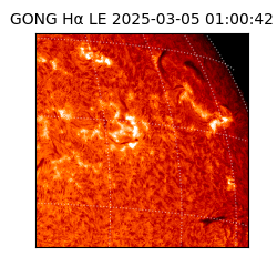 gong - 2025-03-05T01:00:42