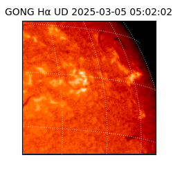 gong - 2025-03-05T05:02:02