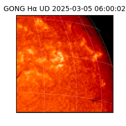 gong - 2025-03-05T06:00:02