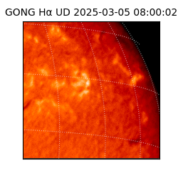 gong - 2025-03-05T08:00:02
