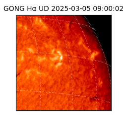 gong - 2025-03-05T09:00:02