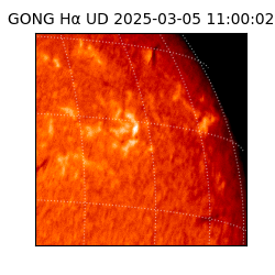 gong - 2025-03-05T11:00:02