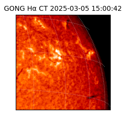 gong - 2025-03-05T15:00:42