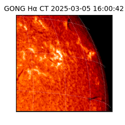 gong - 2025-03-05T16:00:42