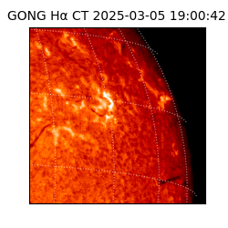 gong - 2025-03-05T19:00:42