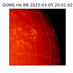 gong - 2025-03-05T20:01:02