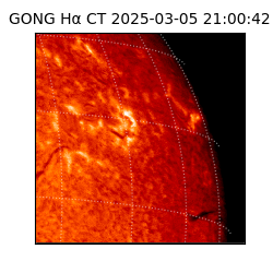 gong - 2025-03-05T21:00:42