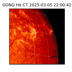 gong - 2025-03-05T22:00:42