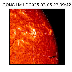 gong - 2025-03-05T23:09:42