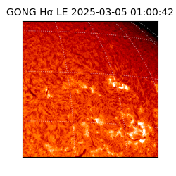 gong - 2025-03-05T01:00:42