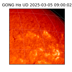 gong - 2025-03-05T09:00:02