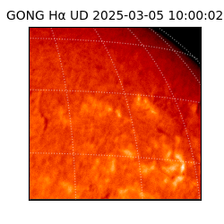 gong - 2025-03-05T10:00:02