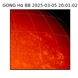 gong - 2025-03-05T20:01:02