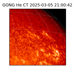 gong - 2025-03-05T21:00:42