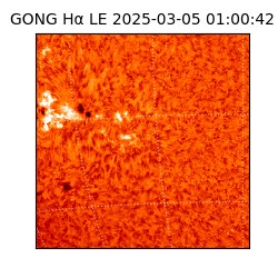 gong - 2025-03-05T01:00:42