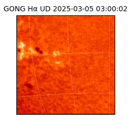 gong - 2025-03-05T03:00:02