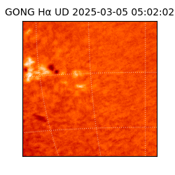 gong - 2025-03-05T05:02:02