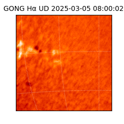 gong - 2025-03-05T08:00:02