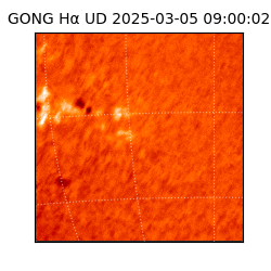 gong - 2025-03-05T09:00:02