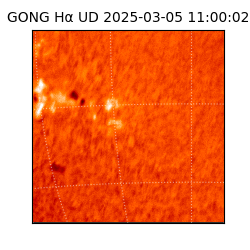 gong - 2025-03-05T11:00:02