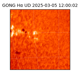 gong - 2025-03-05T12:00:02