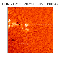 gong - 2025-03-05T13:00:42