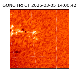 gong - 2025-03-05T14:00:42