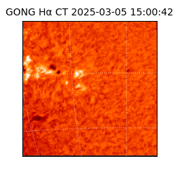 gong - 2025-03-05T15:00:42