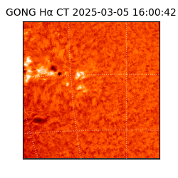 gong - 2025-03-05T16:00:42