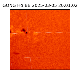 gong - 2025-03-05T20:01:02