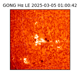 gong - 2025-03-05T01:00:42