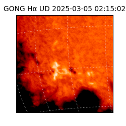 gong - 2025-03-05T02:15:02