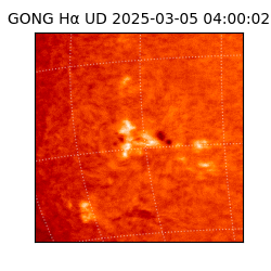 gong - 2025-03-05T04:00:02