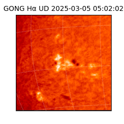 gong - 2025-03-05T05:02:02