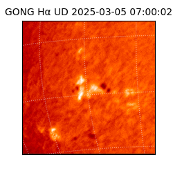 gong - 2025-03-05T07:00:02