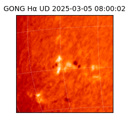 gong - 2025-03-05T08:00:02