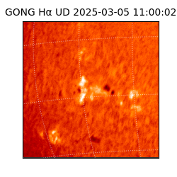 gong - 2025-03-05T11:00:02