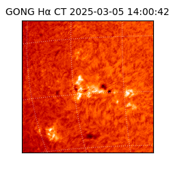 gong - 2025-03-05T14:00:42