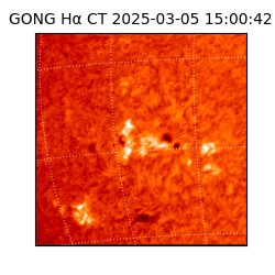 gong - 2025-03-05T15:00:42