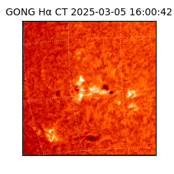 gong - 2025-03-05T16:00:42