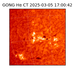 gong - 2025-03-05T17:00:42