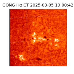 gong - 2025-03-05T19:00:42