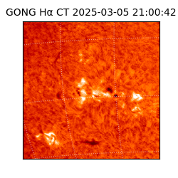 gong - 2025-03-05T21:00:42