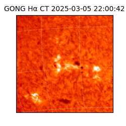 gong - 2025-03-05T22:00:42