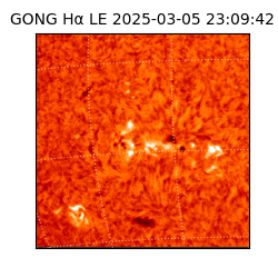 gong - 2025-03-05T23:09:42