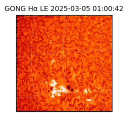 gong - 2025-03-05T01:00:42