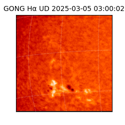 gong - 2025-03-05T03:00:02